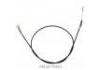 Throttle Cable:54410-79511